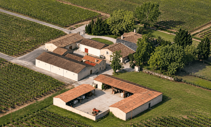 Vue aérienne domaines pedro viticole bordelais entourée de vignes dans le Médoc